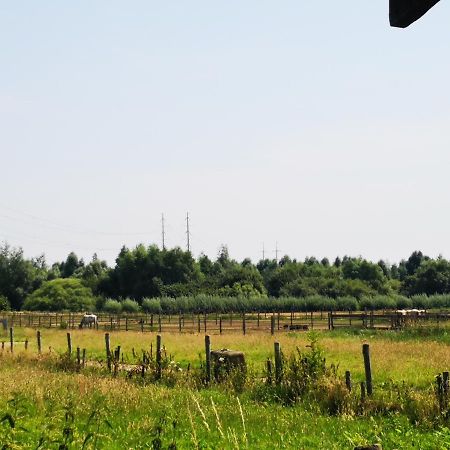 Ruime Romantische Blokhut Zwaanshoek Zewnętrze zdjęcie